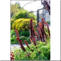 2022-04-27 Promenade du Paillon 38.jpg